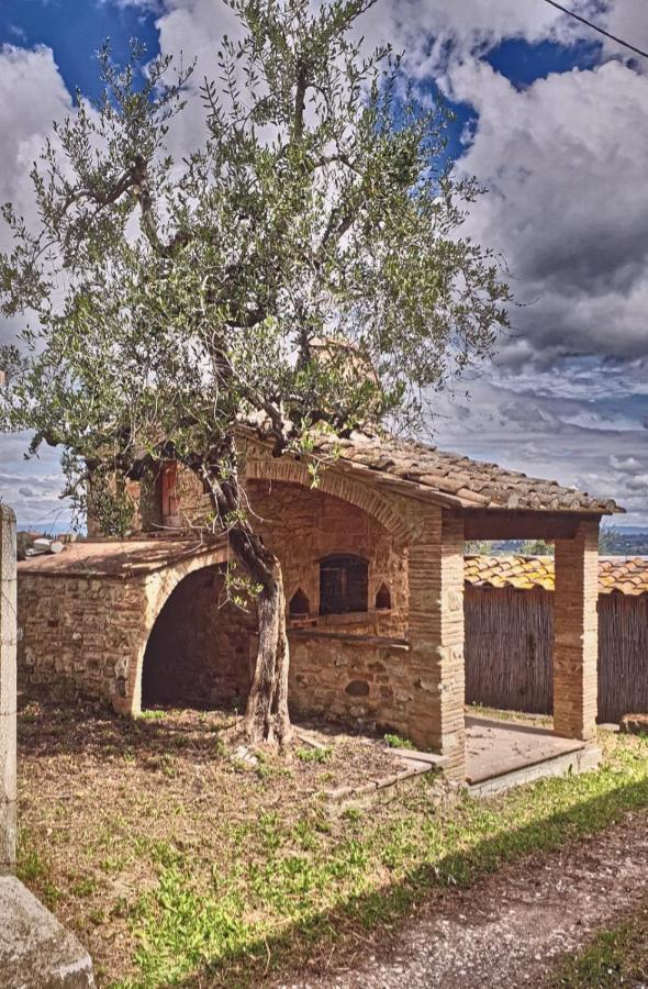 Il Rusticano Chianni Ngoại thất bức ảnh